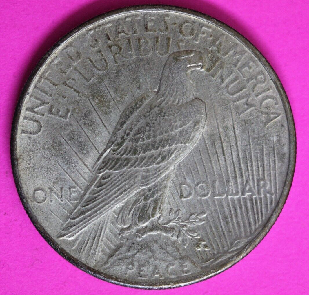 Toned 1925 P Liberty Peace Silver Dollar High Grade Philadelphia Mint 199