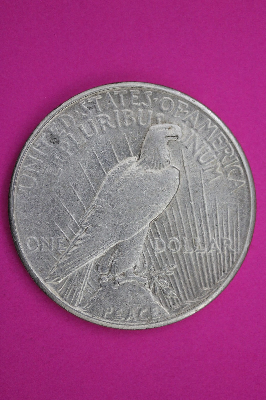 High Grade 1924 S Liberty Peace Silver Dollar San Francisco Mint Nice Luster 208