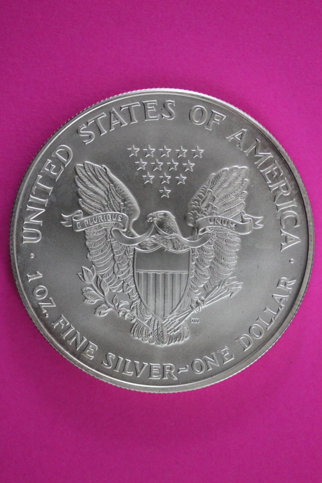 Colorized 1999 American Silver Eagle 1 Ounce .999 Fine Exact Coin Shown N0506