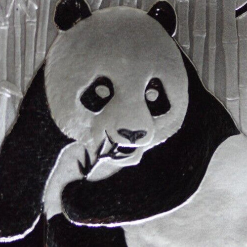 2015 Gem BU China Panda 1 OZ 999 Silver Same Coin In Pics Proof Like Capsule 03