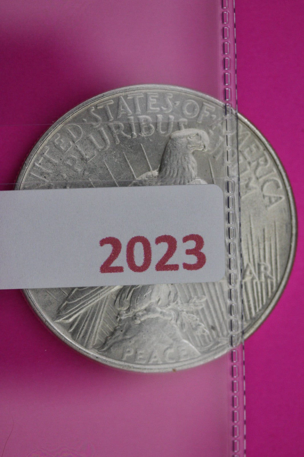 1934 P Peace Silver Dollar LIberty Coin Guaranteed Genuine American Seller 2023