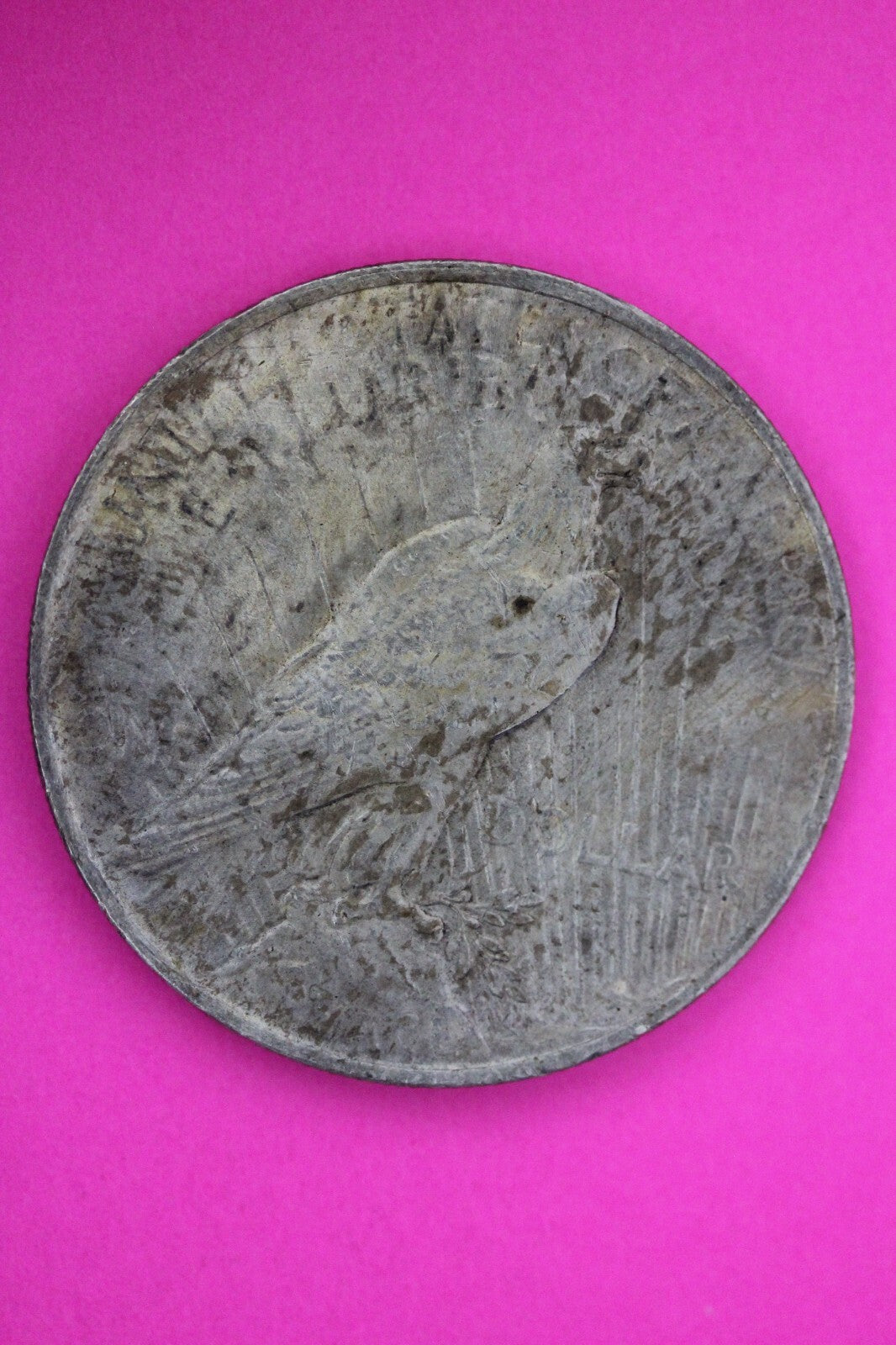 1923 P Liberty Peace Silver Dollar Philadelphia Coin Nice Toning 19