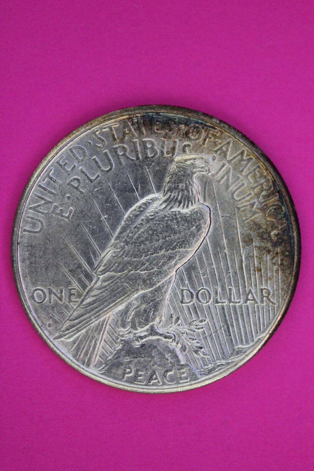 Clashed Reverse 1923 S Liberty Peace Silver Dollar Philadelphia Mint Coin 237