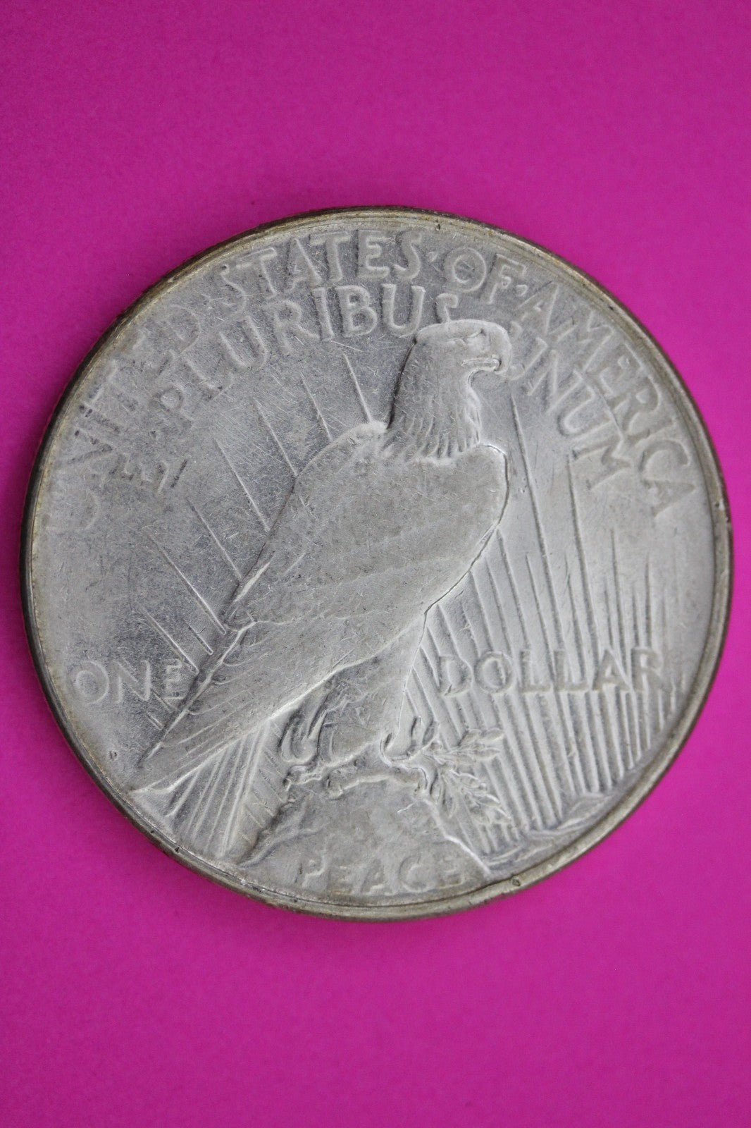 1923 D Peace Silver Dollar LIberty Coin Guaranteed Genuine American Seller 1993