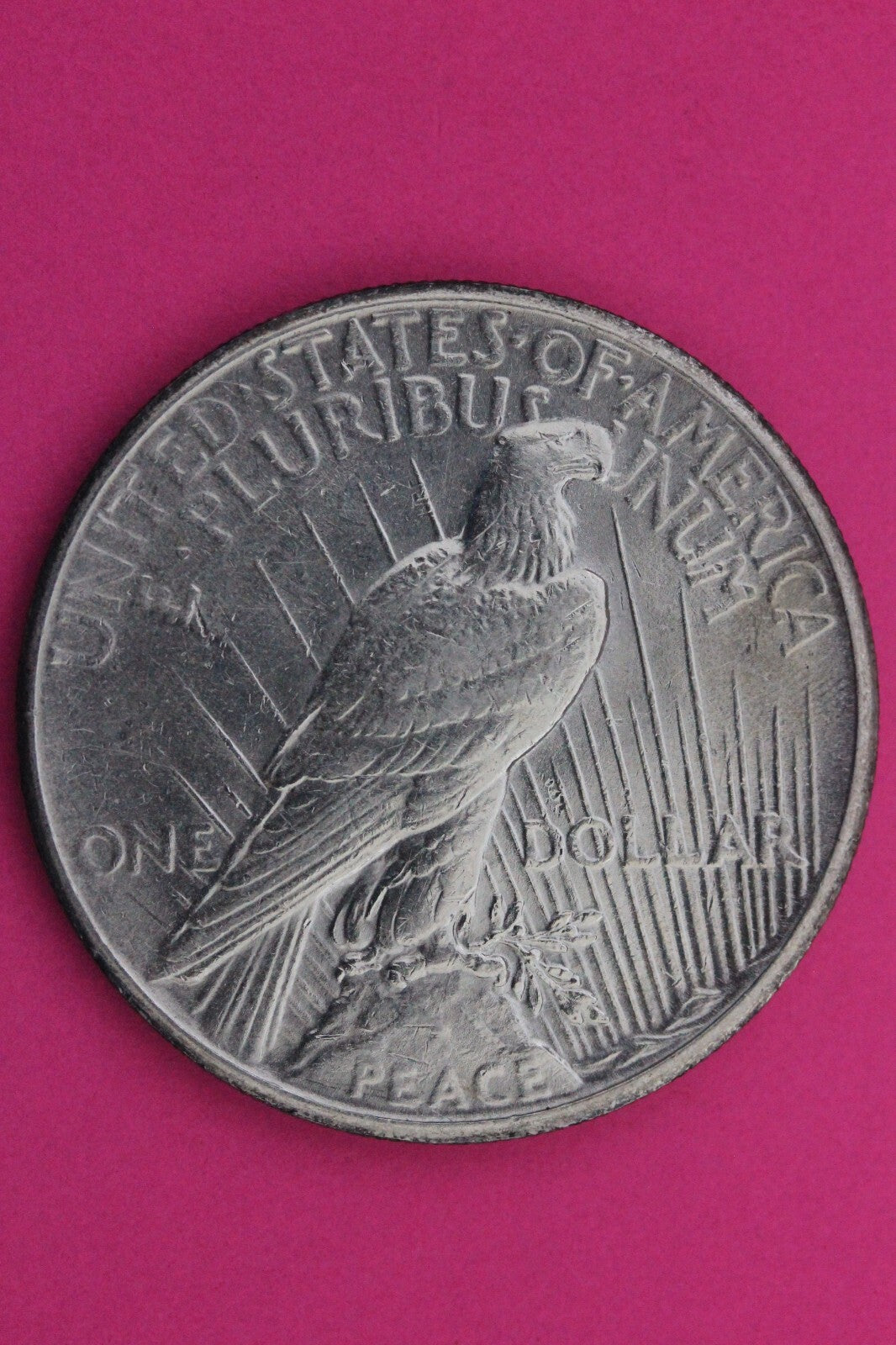 High Grade 1926 P Peace Silver Dollar LIberty Coin Guaranteed Authentic 0308N