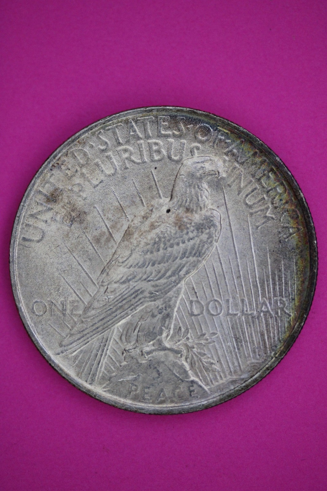 High Grade 1923 P Peace Silver Dollar LIberty Coin Authentic & Genuine 2629