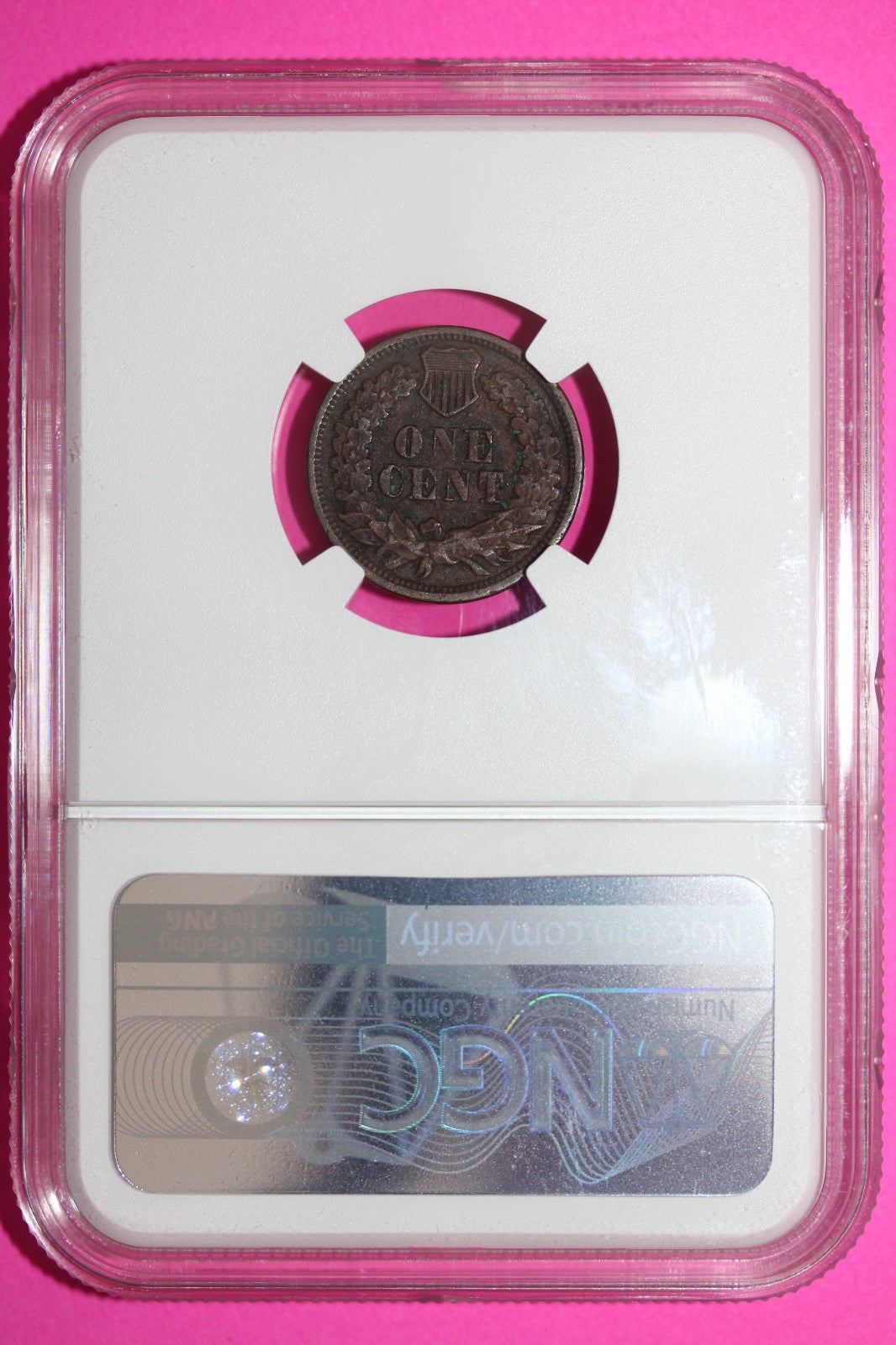 1864 Bronze Indian Head Cent Penny XF Details Environnmental Damage NGC 904