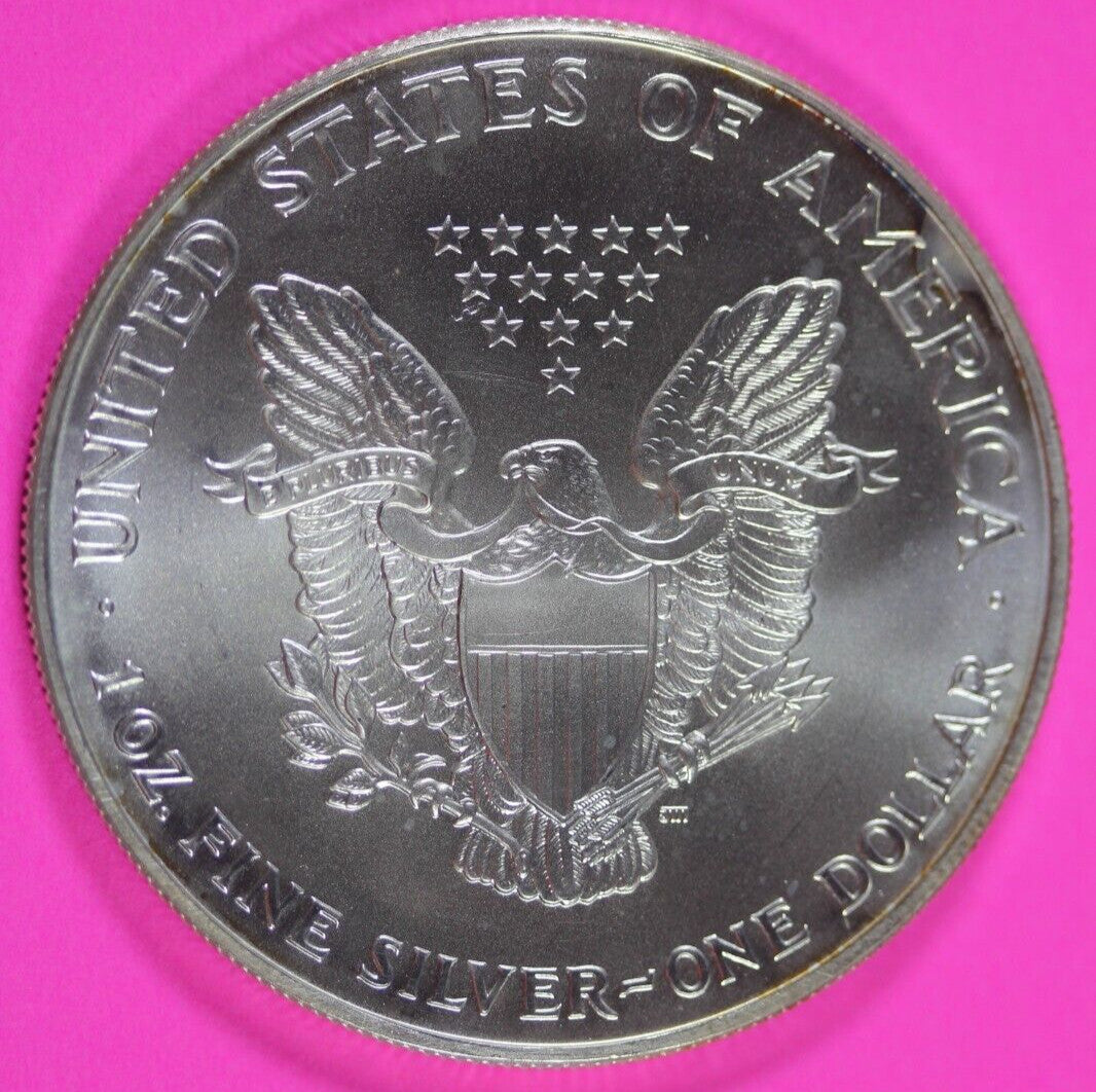 Colorized 2000 American Silver Eagle 1 Ounce .999 Fine Exact Coin Shown 164