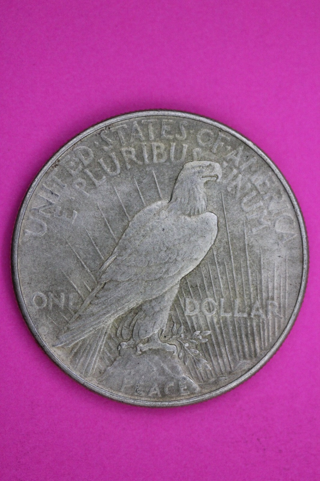 High Grade 1934 P Liberty Peace Silver Dollar Philadelphia Mint Nice Luster 207