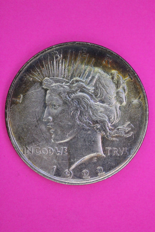 Toned High Grade 1922 P Liberty Peace Silver Dollar Philadelphia Mint Coin 229