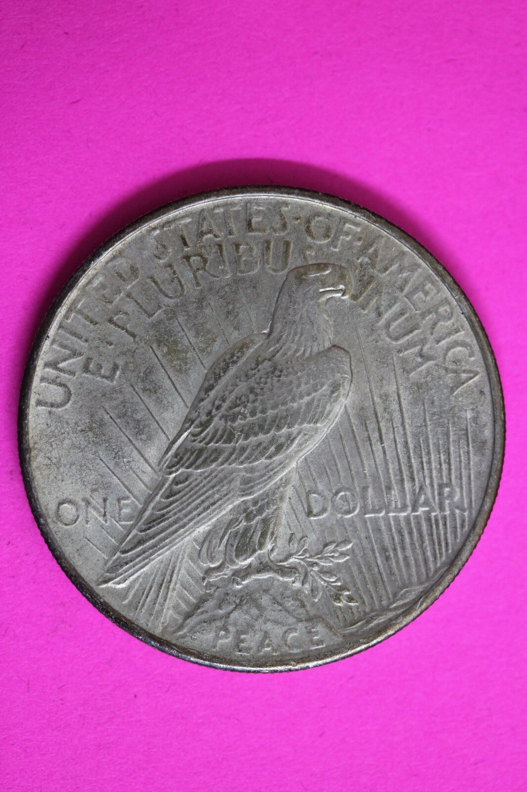 Toned 1925 P Liberty Peace Silver Dollar High Grade Philadelphia Mint 199