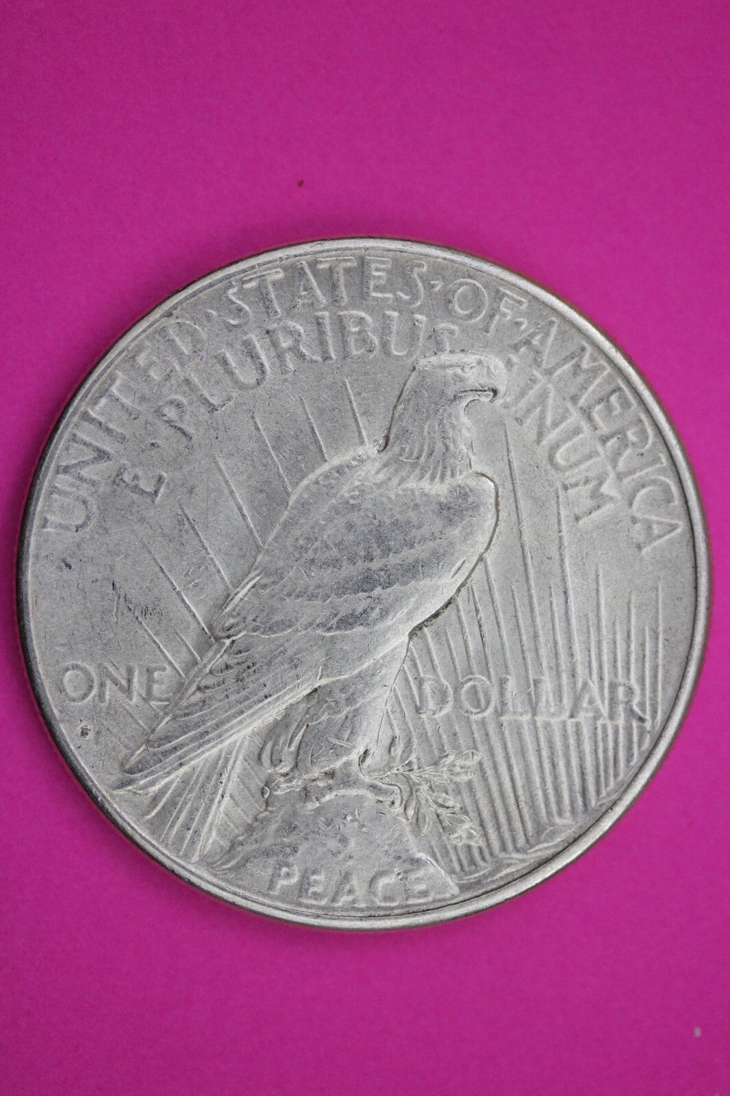 High Grade 1926 S Liberty Peace Silver Dollar San Francisco Mint Nice Luster 98