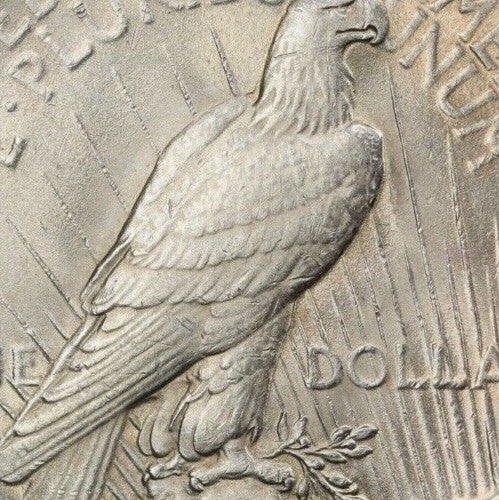 Golden Toned 1922 P MS 62 Peace Silver Dollar PCGS Graded Trueview Slab 1421