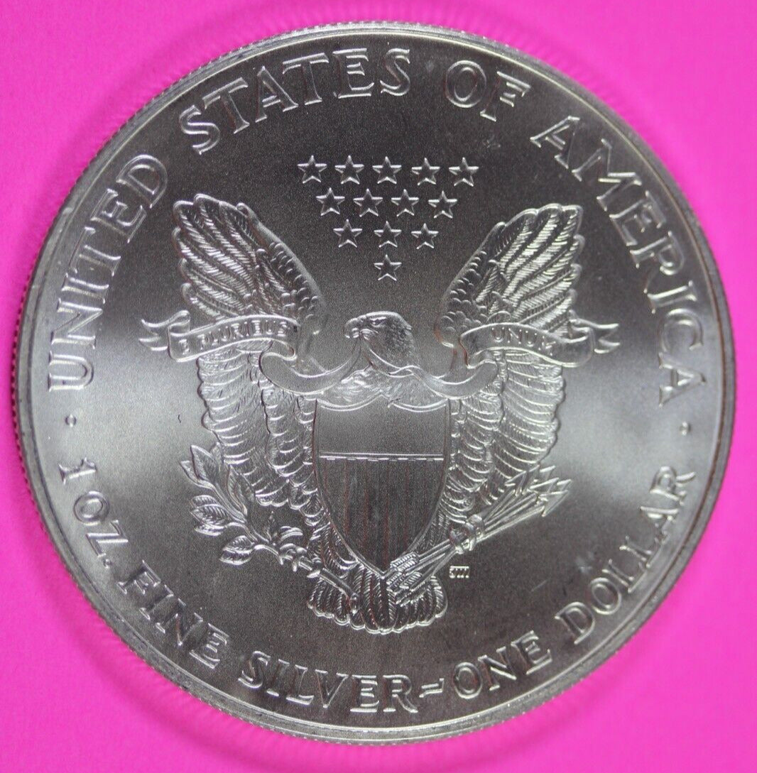 Colorized 2000 American Silver Eagle 1 Ounce .999 Fine Exact Coin Shown 159