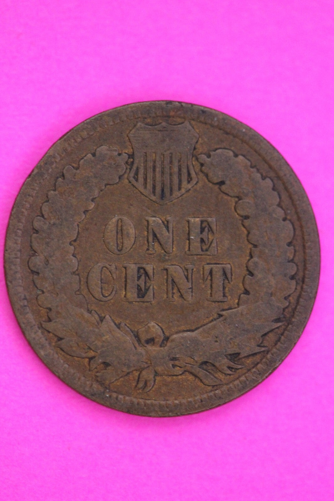 1898 8 Under Curl Snow 28 Indian Head Cent Penny Rare Type Exact Coin Shown 343