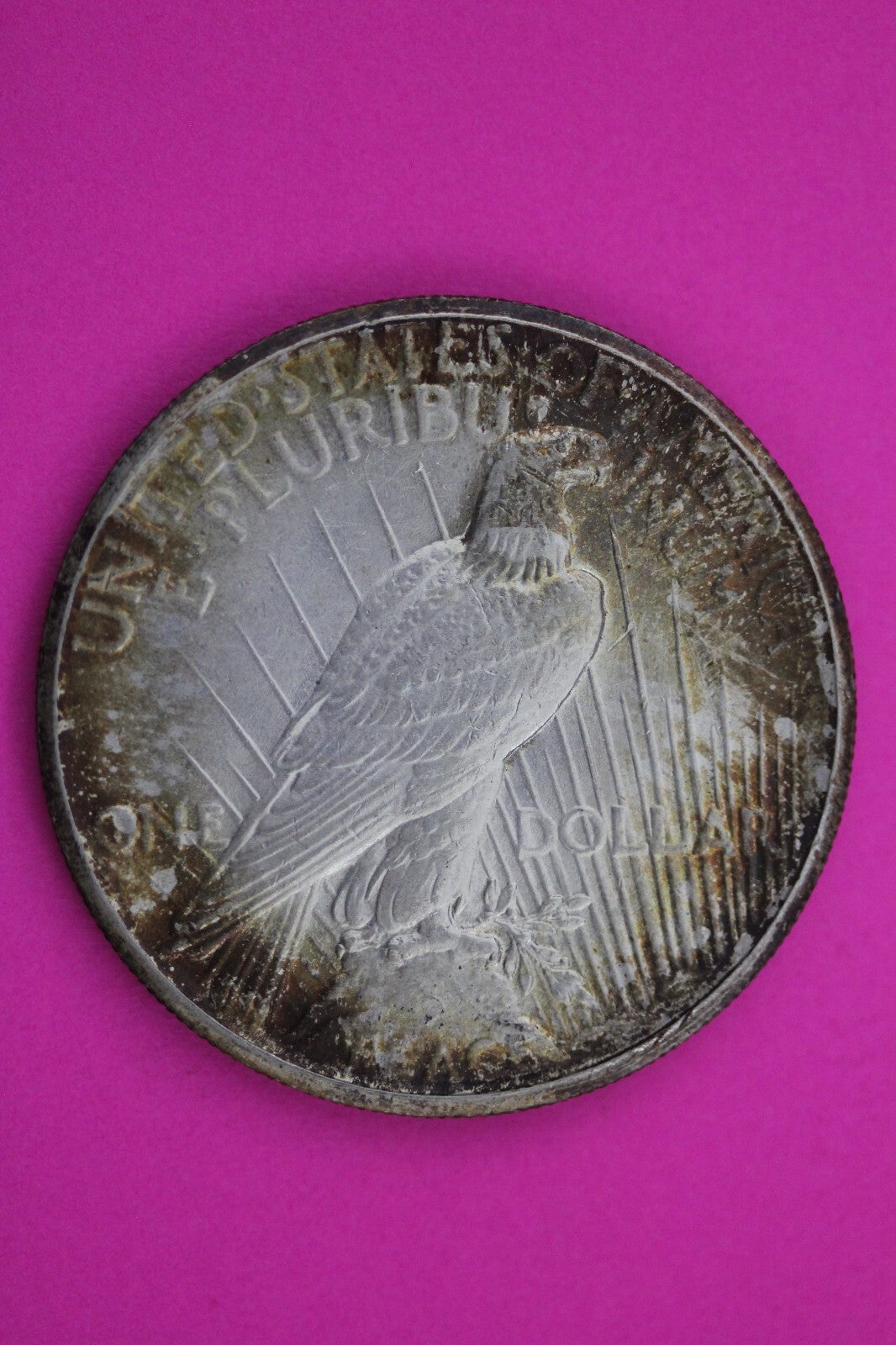 Toned 1927 P Peace Silver Dollar LIberty Coin Guaranteed Authentic 0324N