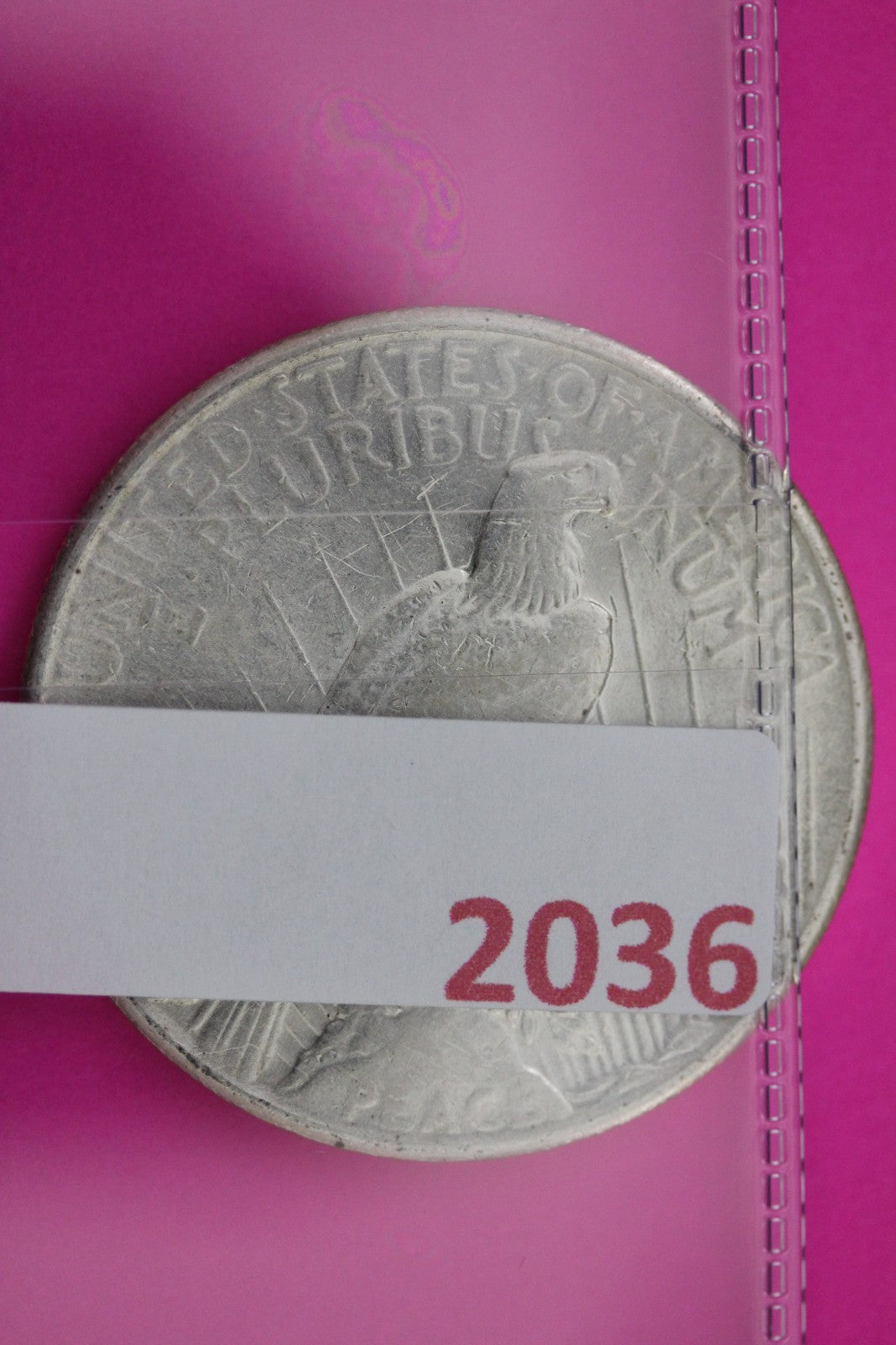 1926 P Peace Silver Dollar LIberty Coin Guaranteed Genuine American Seller 2036