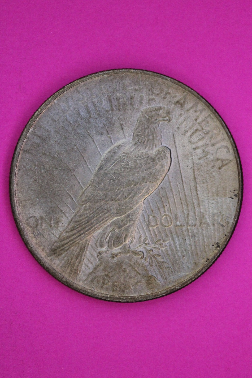 Toned High Grade 1924 P Liberty Peace Silver Dollar Philadelphia Mint Coin 243