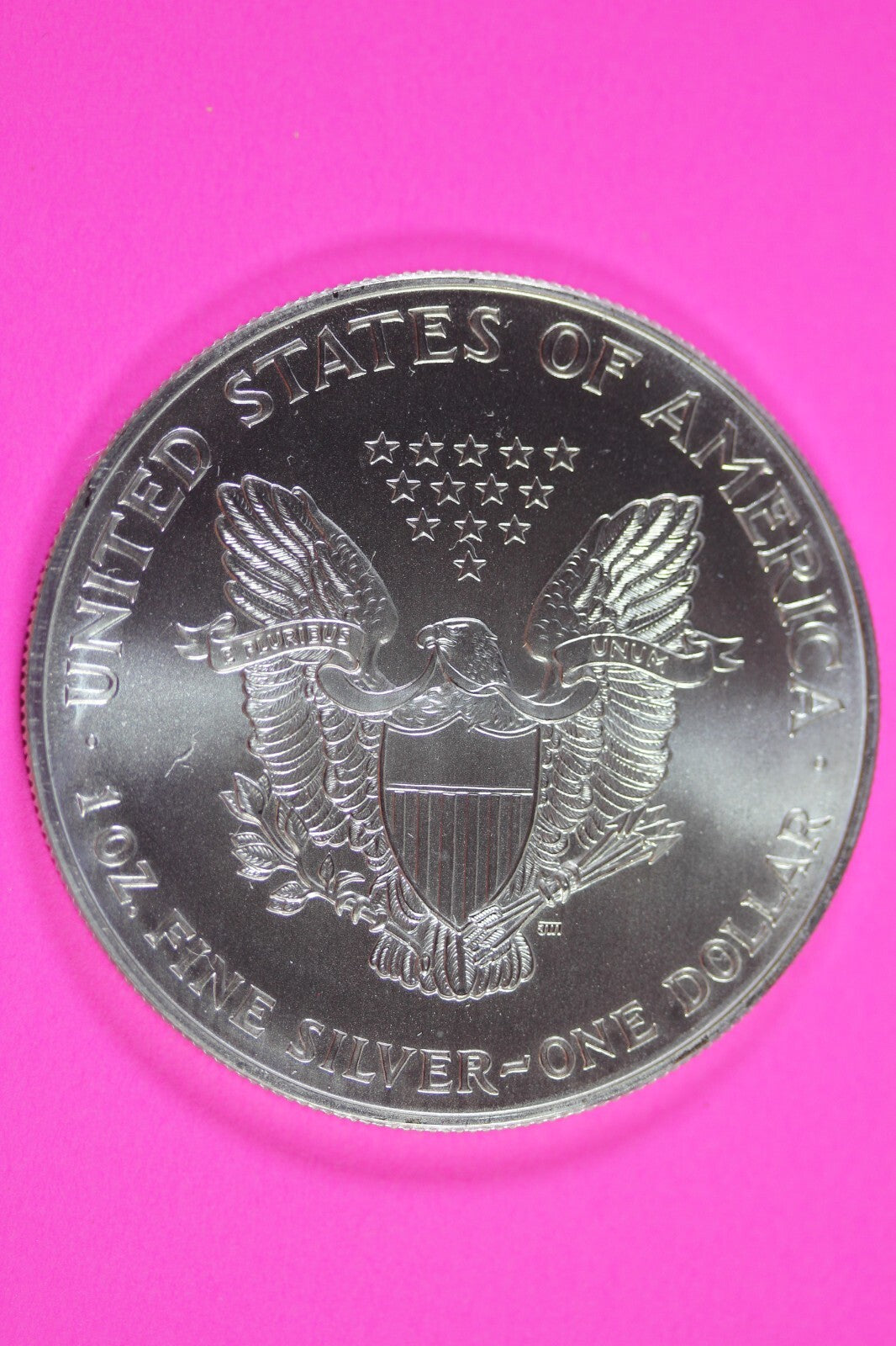 Colorized 1999 American Silver Eagle 1 Ounce .999 Fine Exact Coin Shown 170