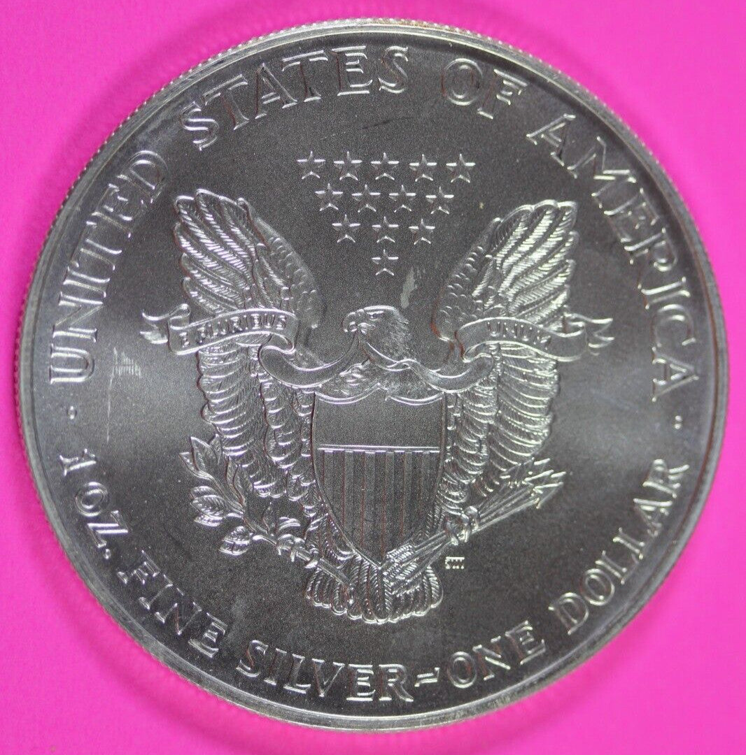 Colorized 2000 American Silver Eagle 1 Ounce .999 Fine Exact Coin Shown 152