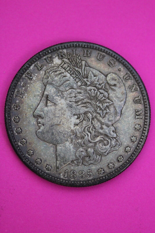 Toned 1885 S Morgan Lady Liberty Silver Dollar Key Date Coin San Francisco 392
