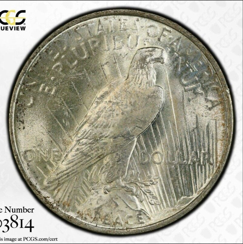 Toned 1923 P MS 62 Peace Silver Dollar PCGS Graded Certified Authentic Slab 65
