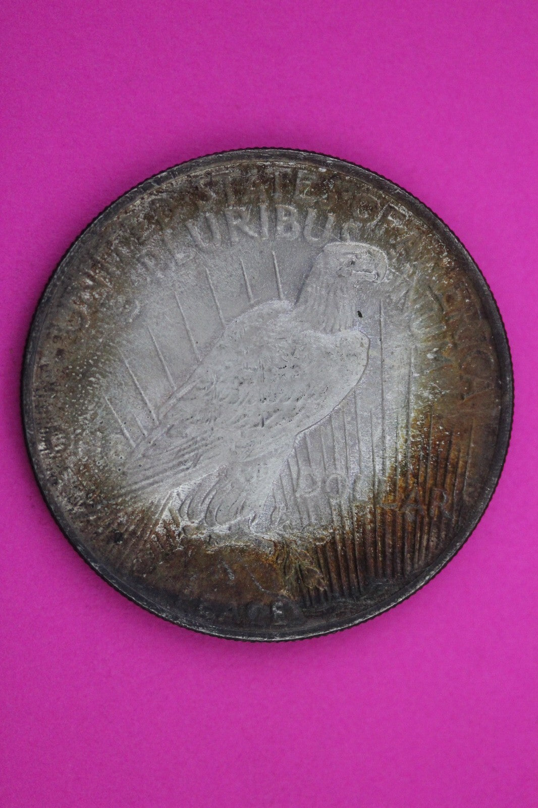 Toned 1924 P Peace Silver Dollar LIberty Coin Guaranteed Authentic 0329N