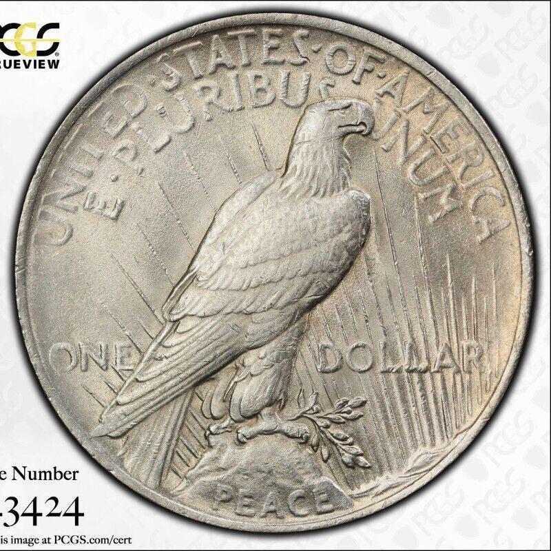 Golden Toned 1922 P MS 62 Peace Silver Dollar PCGS Graded Trueview Slab 1421