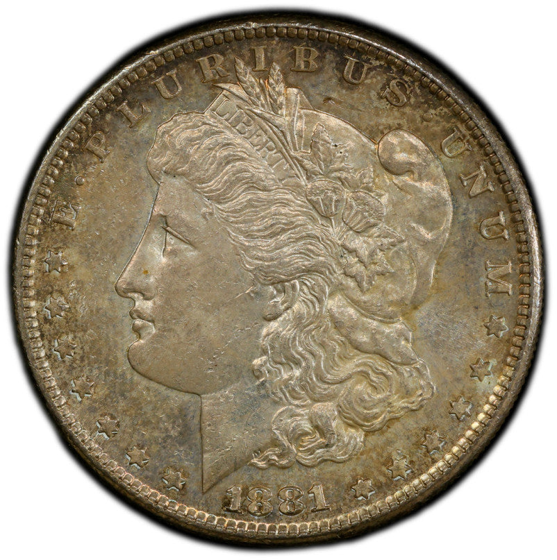 Toned 1881 S MS 62 Morgan Liberty Silver Dollar PCGS Certified Graded Slab 218