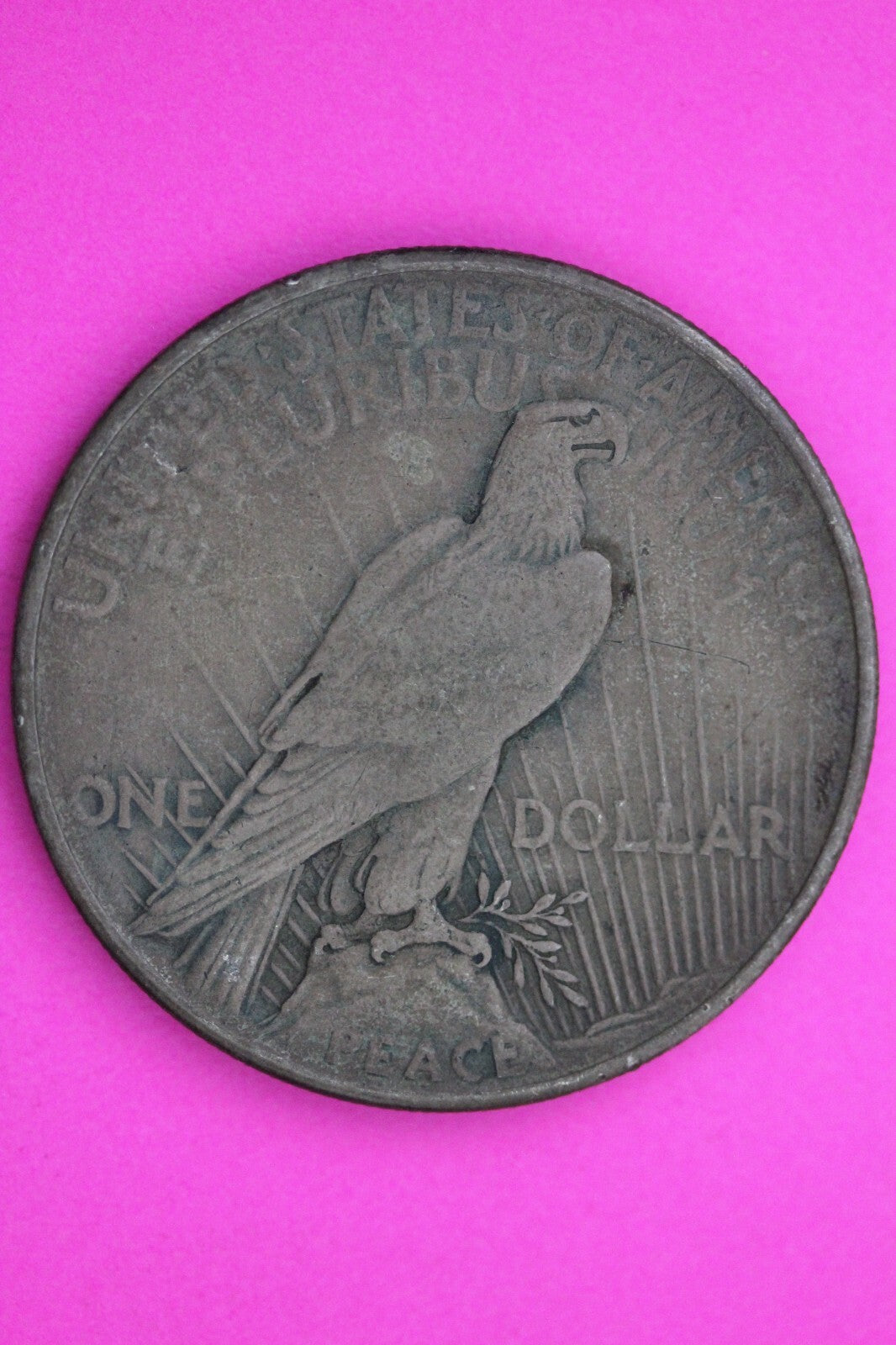 1921 P Liberty Peace Silver Dollar Rare Key Date Coin Guaranteed Authentic  558N