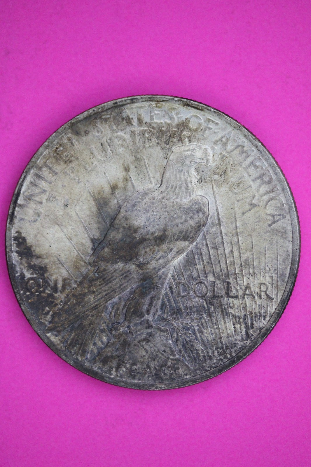 High Grade 1924 P Peace Silver Dollar LIberty Coin Authentic & Genuine 2638