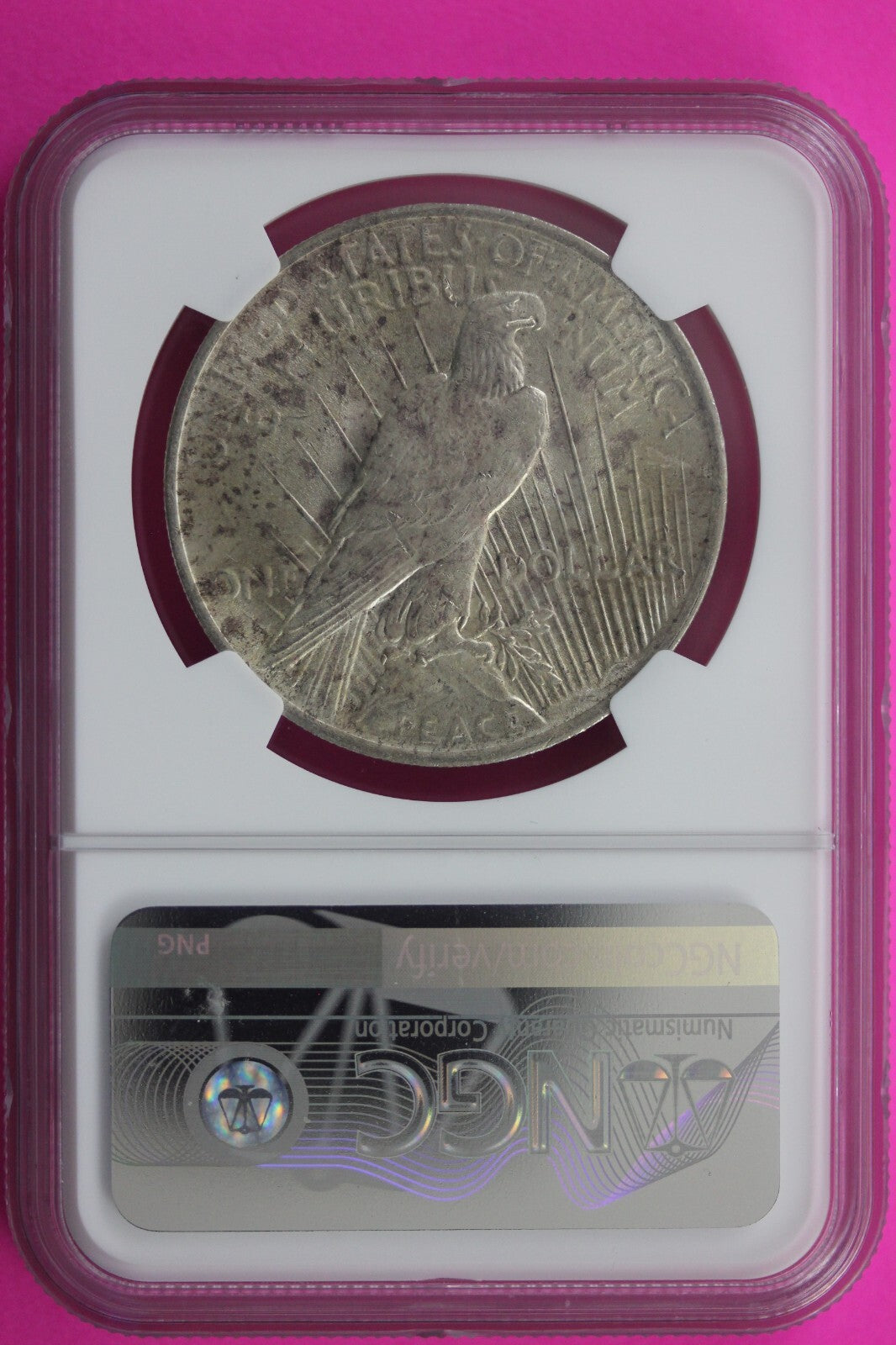 1923 P MS 62 Liberty Peace Silver Dollar NGC Certified Authentic Graded Slab 708