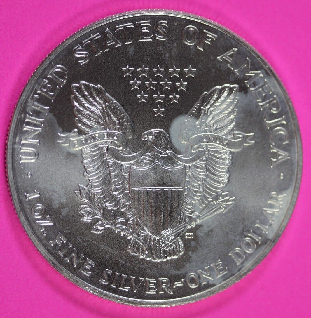 Colorized 1999 American Silver Eagle 1 Ounce .999 Fine Exact Coin Shown 161