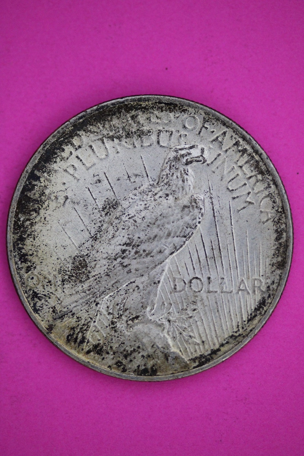 High Grade 1922 P Peace Silver Dollar LIberty Coin Authentic & Genuine 2642