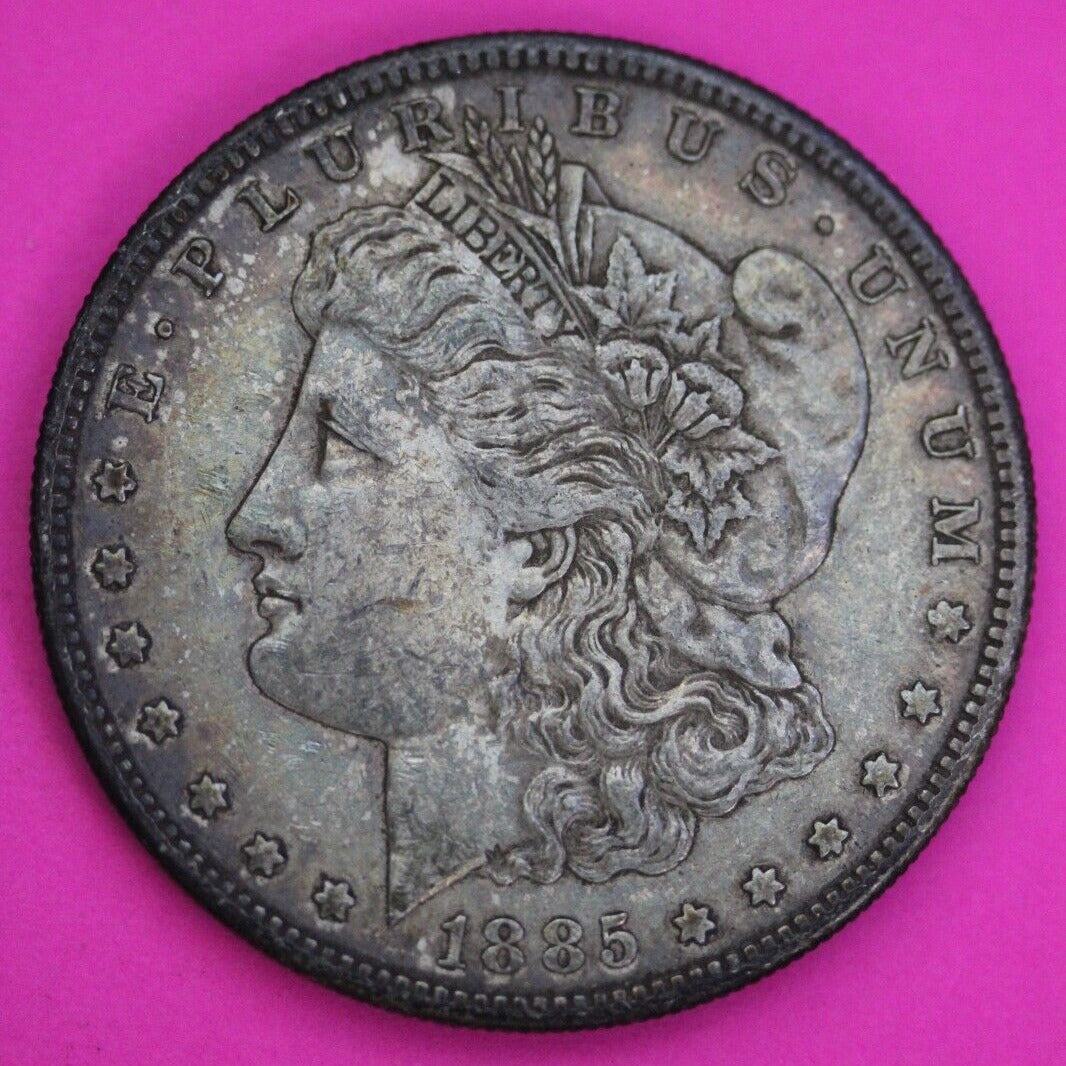Toned 1885 S Morgan Lady Liberty Silver Dollar Key Date Coin San Francisco 392