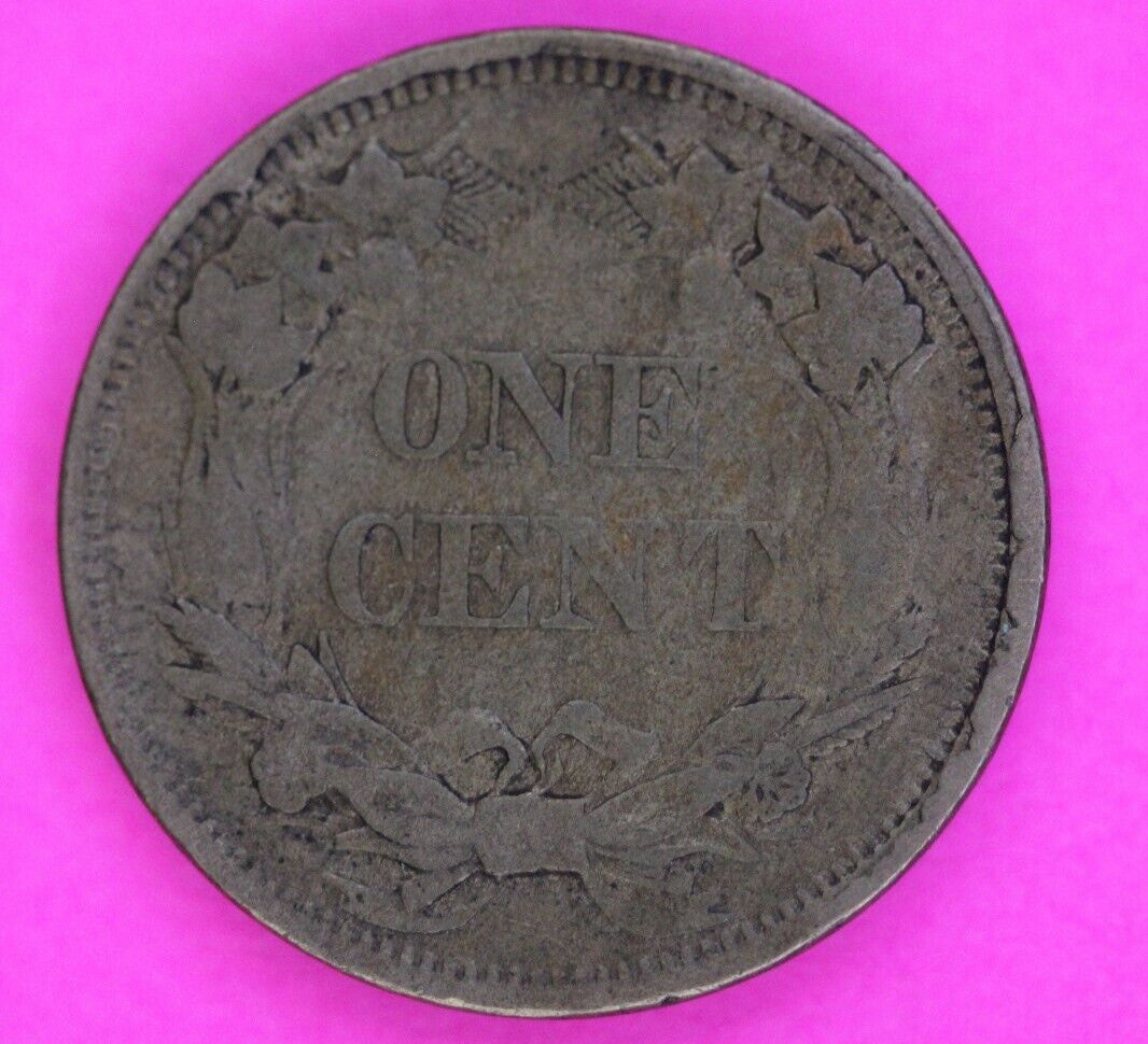 Mint Error Rim Cuds Rev 1858 Flying Eagle Cent Penny Exact Early Scarce Coin 113