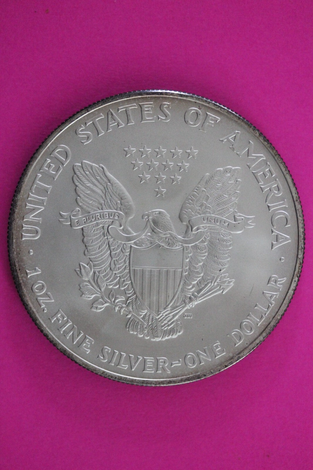 Colorized 2004 American Silver Eagle 1 Ounce .999 Fine Exact Coin Shown N0498