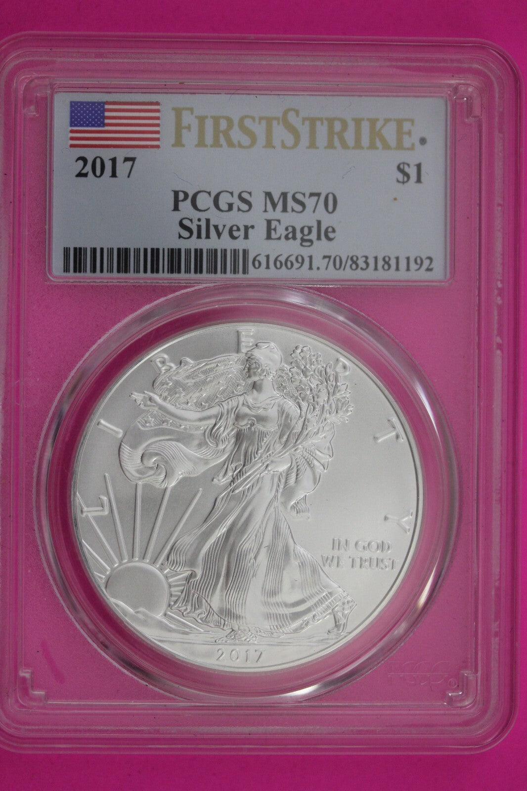 2017 MS 70 Silver Eagle Coin 1 OZ .999 PCGS Certified Graded Authentic Slab 602