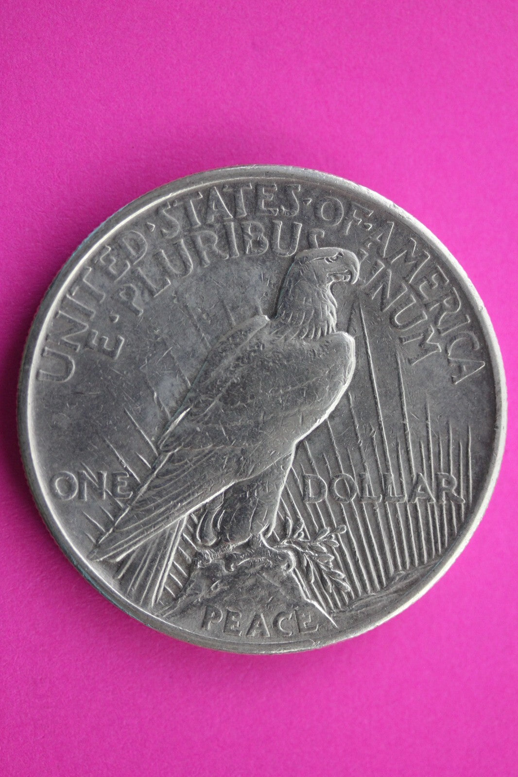 High Grade 1921 P Peace Silver Dollar LIberty Coin Guaranteed Authentic 0356N