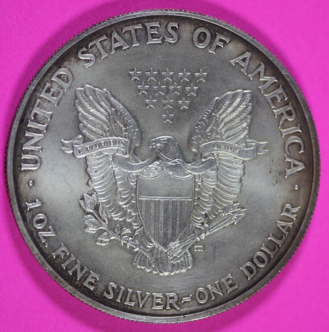 Colorized 2004 American Silver Eagle 1 Ounce .999 Fine Exact Coin Shown 148