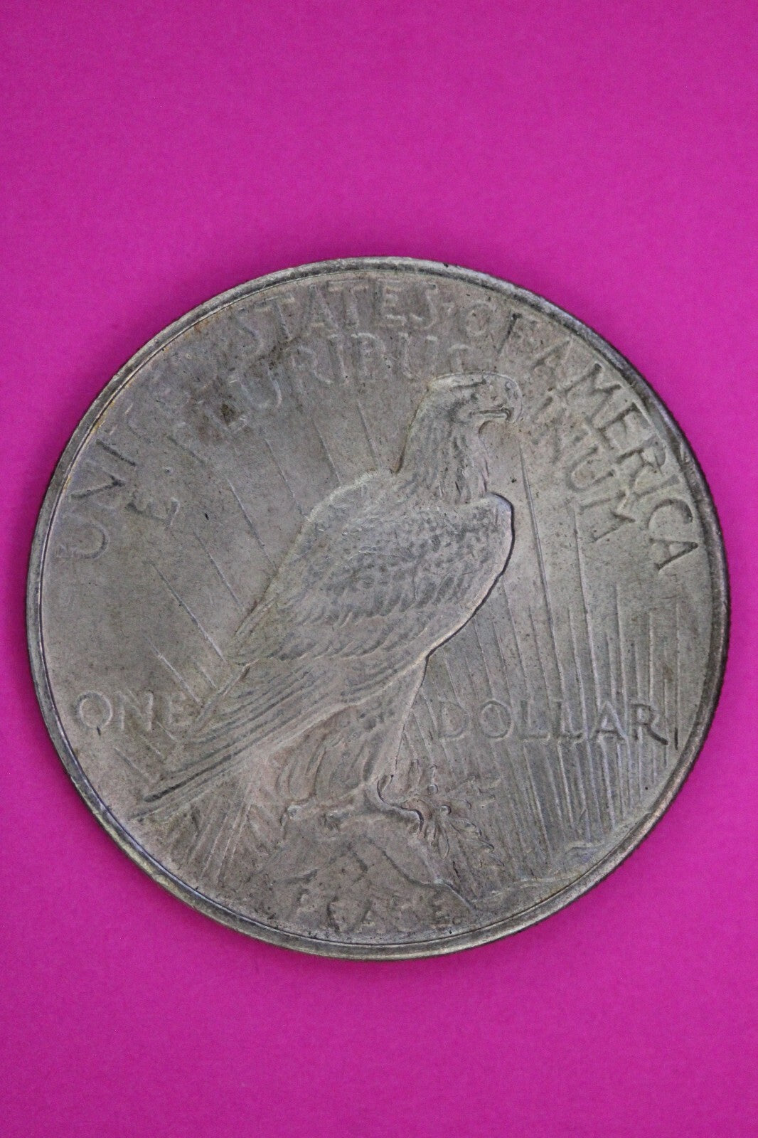 Toned High Grade 1925 P Liberty Peace Silver Dollar Philadelphia Mint Coin 233