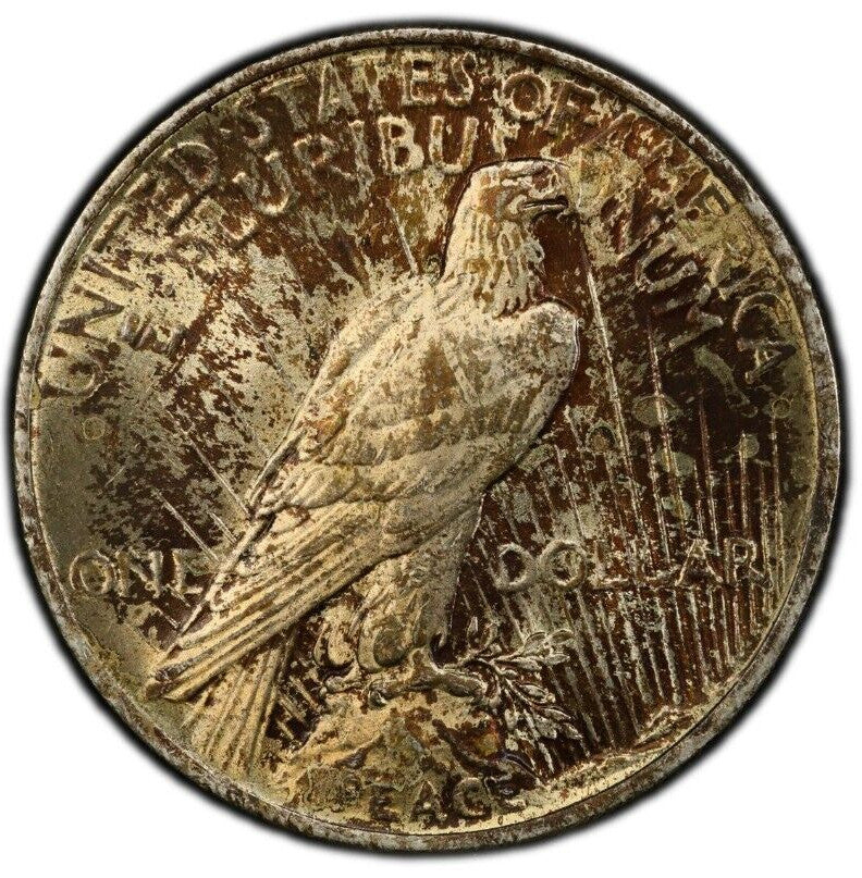 Toned 1924 P MS 63 Peace Silver Dollar PCGS Graded Certified Authentic Slab 395