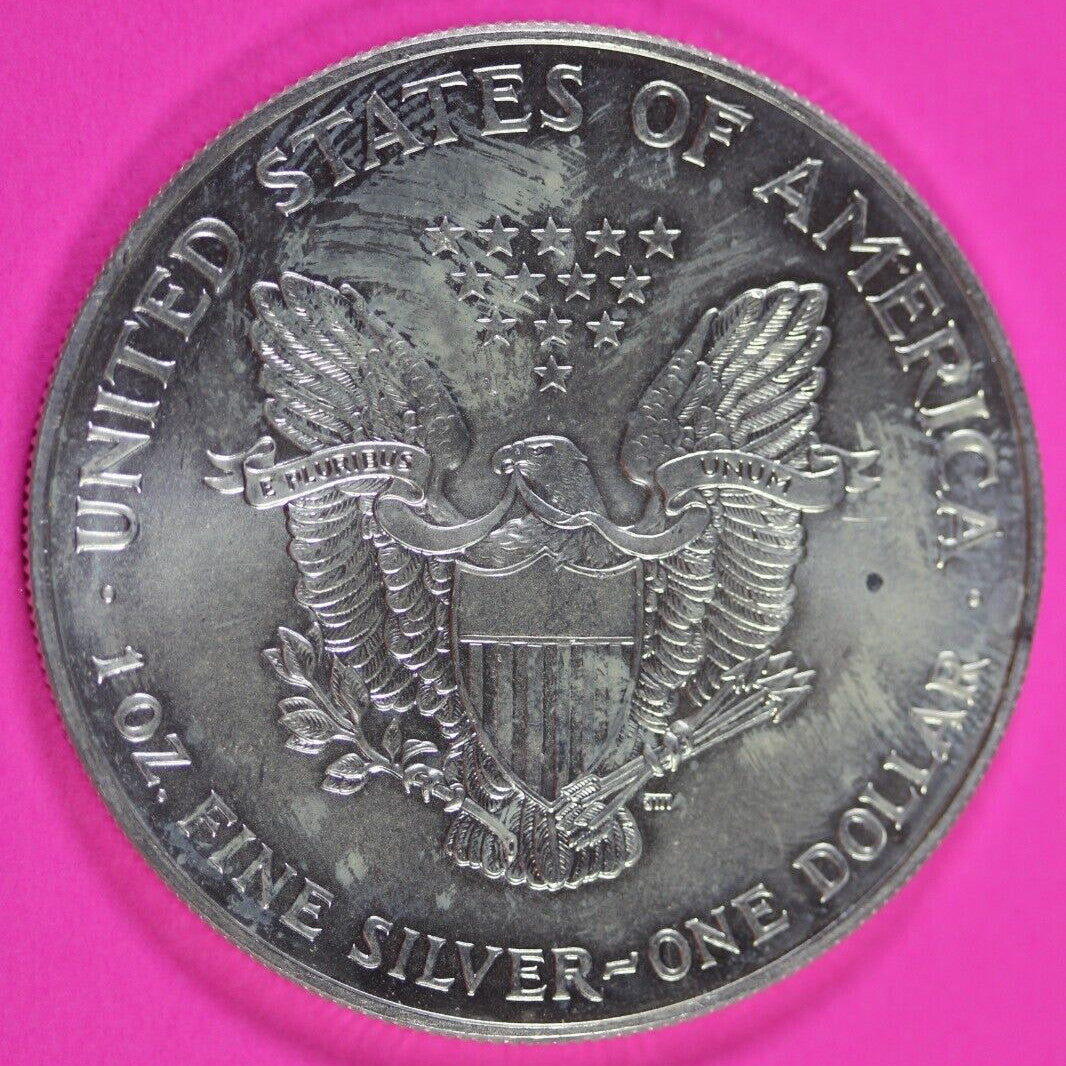 Colorized 1999 American Silver Eagle 1 Ounce .999 Fine Exact Coin Shown 166