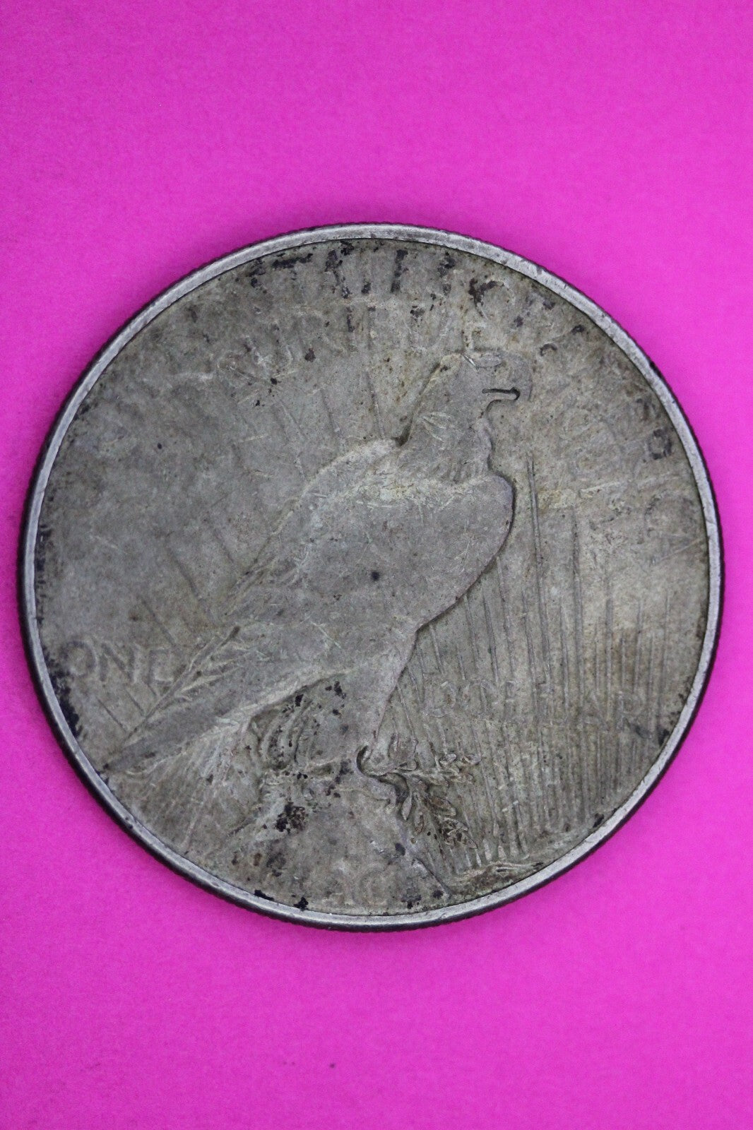 1934 P Liberty Peace Silver Dollar Scarce Semi Key Date Coin Philadelphia 137