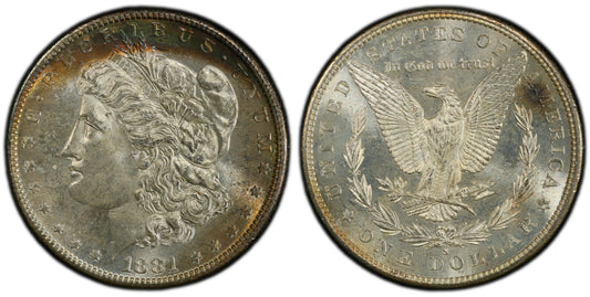 Toned 1881 S MS 64 Morgan Silver Dollar PCGS Graded Certified Authentic Slab 255