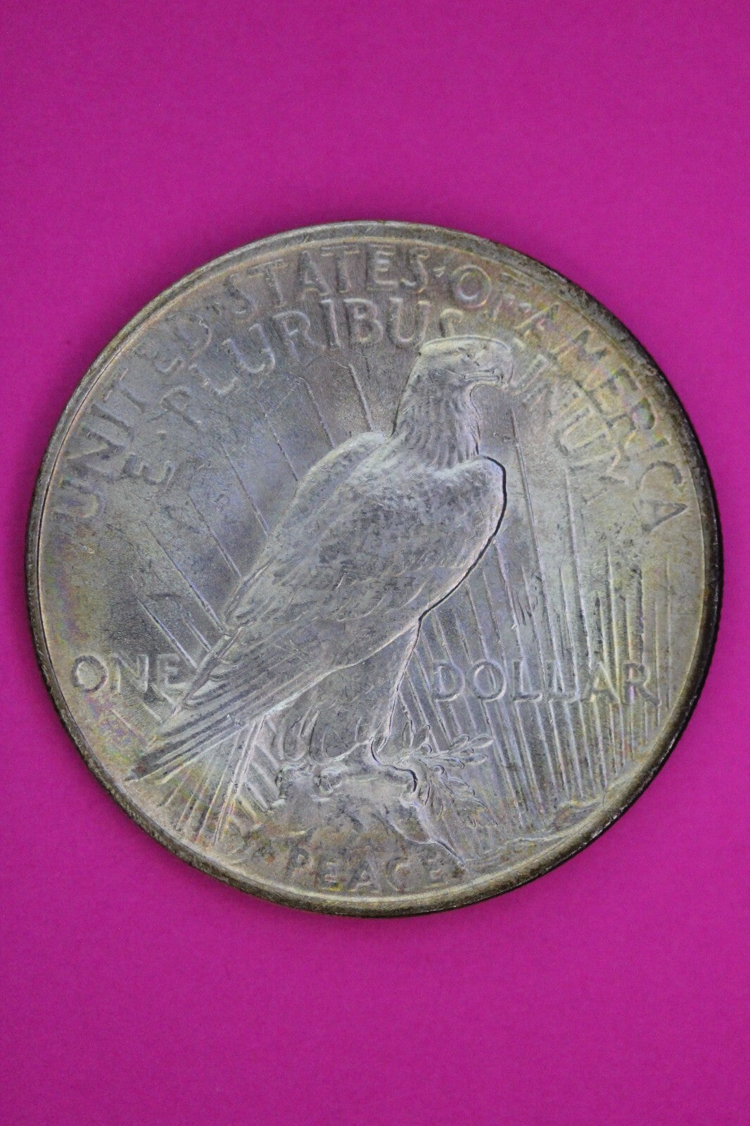 Toned High Grade 1923 P Liberty Peace Silver Dollar Philadelphia Mint Coin 232