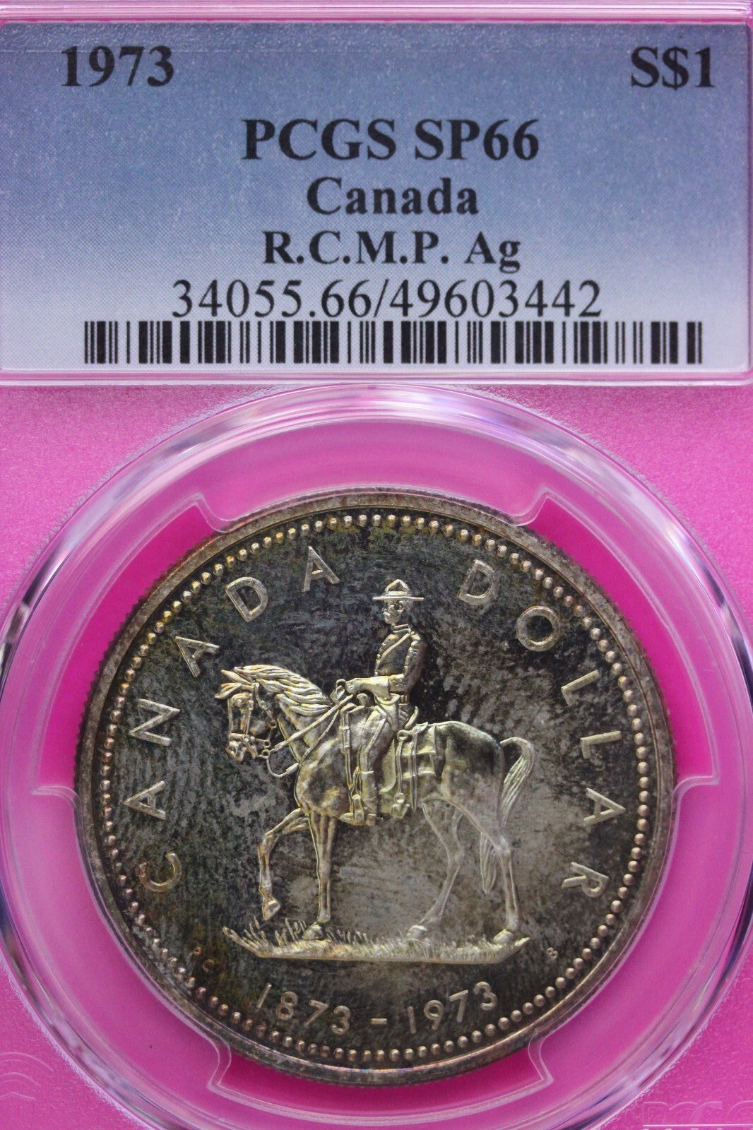 Golden Toned 1973 SP 66 Canada RC Mounted Police Silver Dollar PCGS Graded 740