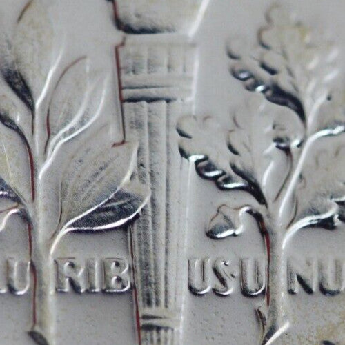 Toned 1955 Silver Proof Roosevelt Dime Exact Coin Shown  65