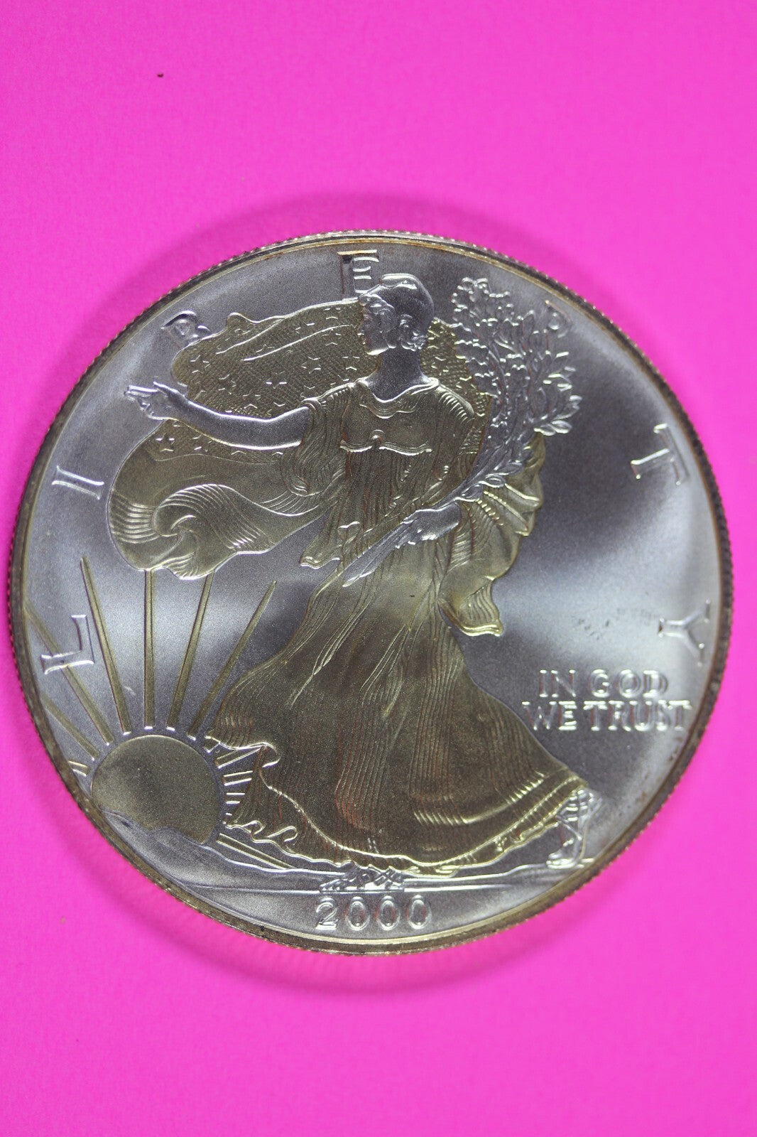 Colorized 2000 American Silver Eagle 1 Ounce .999 Fine Exact Coin Shown 151