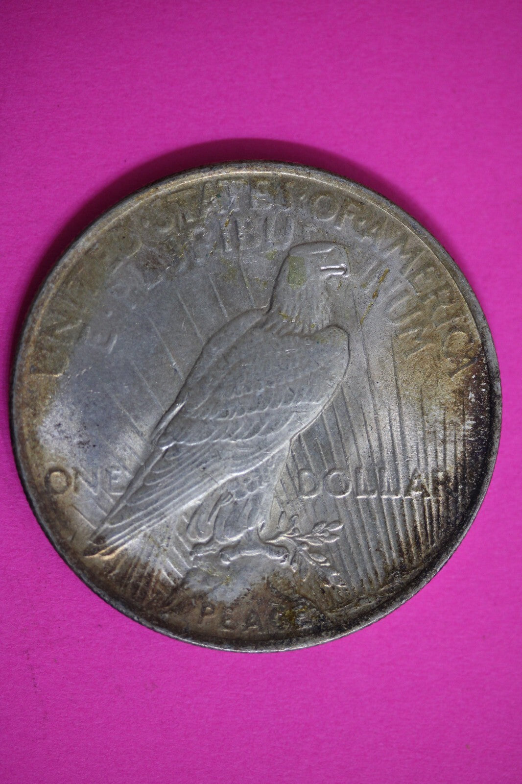 Toned High Grade 1923 P Liberty Peace Silver Dollar Exact Coin In Pics 29